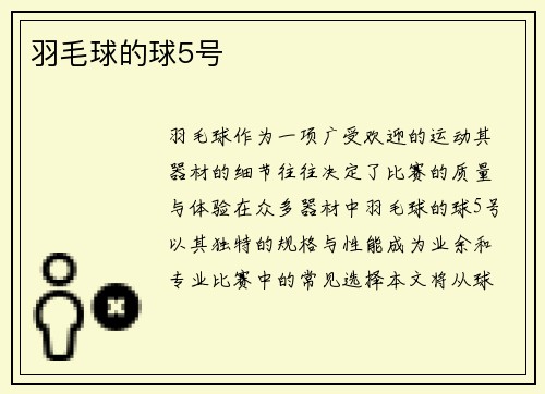 羽毛球的球5号