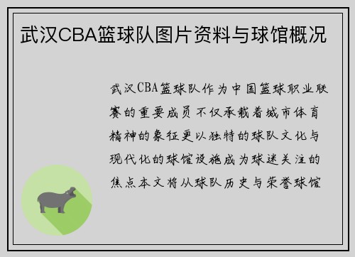 武汉CBA篮球队图片资料与球馆概况