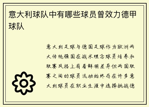 意大利球队中有哪些球员曾效力德甲球队