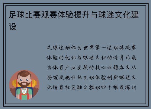 足球比赛观赛体验提升与球迷文化建设